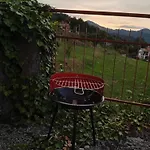 Sunflower * Tavarone