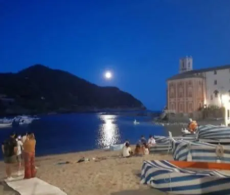 Sunflower * Tavarone