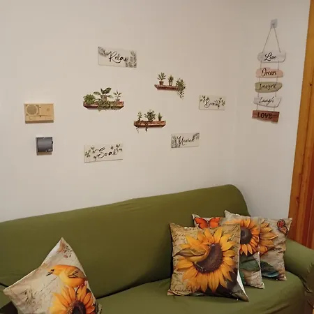 Sunflower * Tavarone