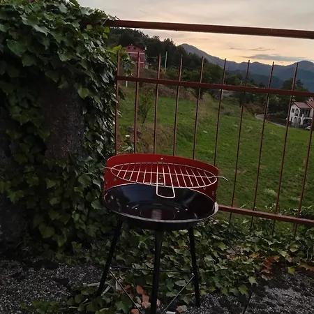 Sunflower * Tavarone