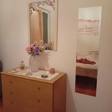 Sunflower Apartamento