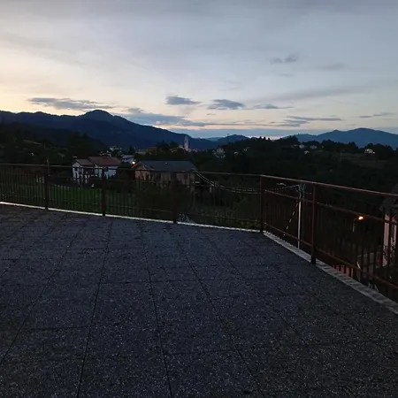 Sunflower * Tavarone