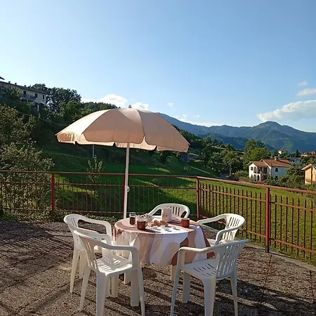 Sunflower Apartamento