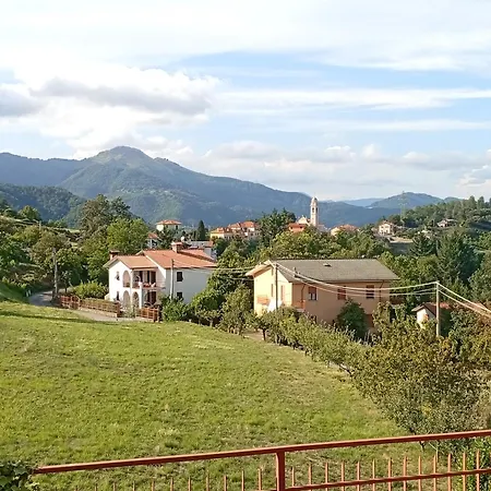 Sunflower Apartamento