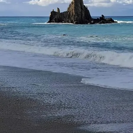 Sunflower Apartamento