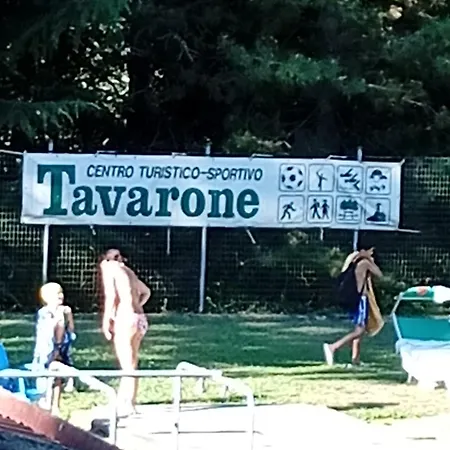 Sunflower Tavarone
