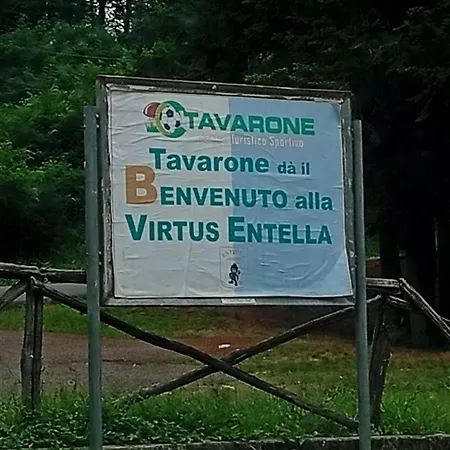 Sunflower Tavarone