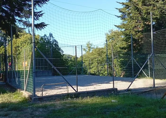 Sunflower Apartment *